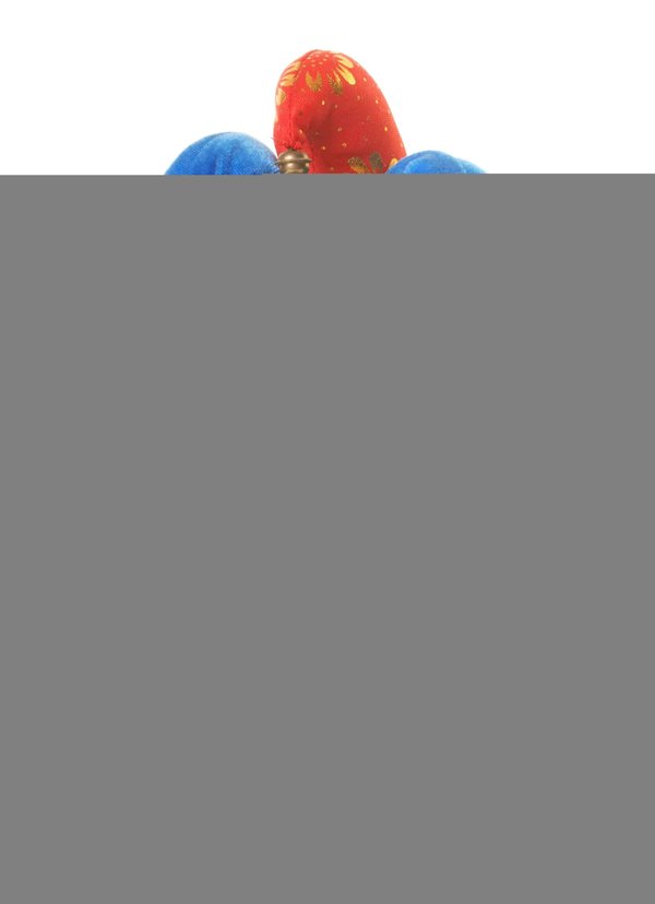 5 conseils pour acheter un déguisement gonflable parfait