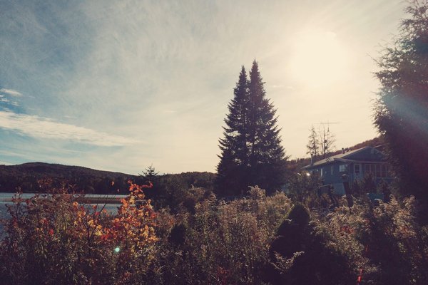 Les tendances en matière de sacs à main pour cet automne